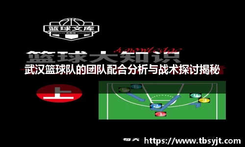 武汉篮球队的团队配合分析与战术探讨揭秘